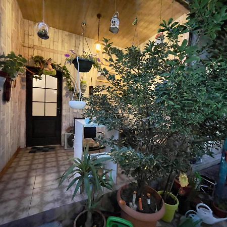 Mr Guest House Tbilisi Eksteriør billede