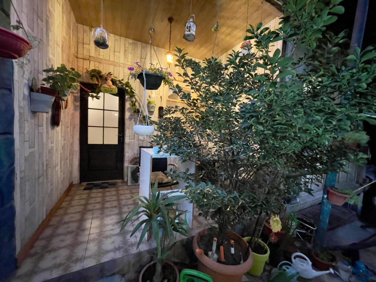 Mr Guest House Tbilisi Eksteriør billede